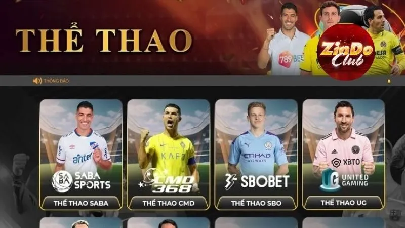 Thể thao Zindo có sảnh cược đa dạng